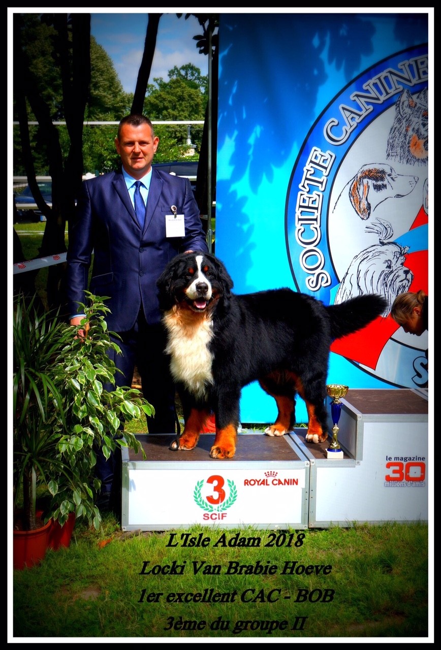 CH. Locki van de brabie-hoeve